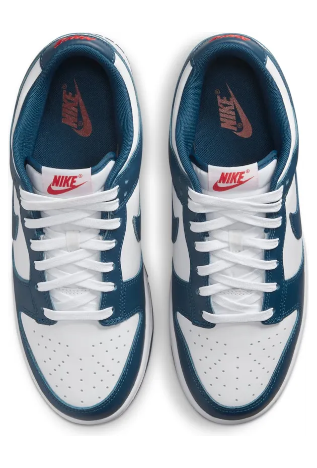 nike-dunk DD1391-400