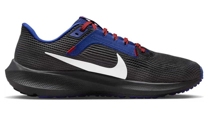 nike-air-pegasus DZ5976-001