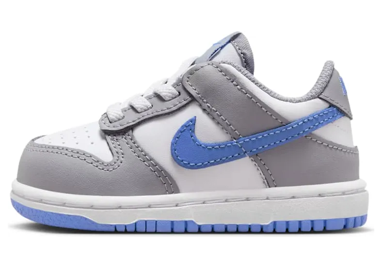 Nike Dunk Low FB9107-121