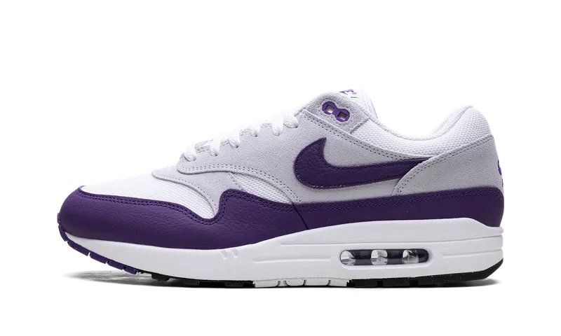 Nike Air Max 1 SC “Field Purple” (DZ4549-101)