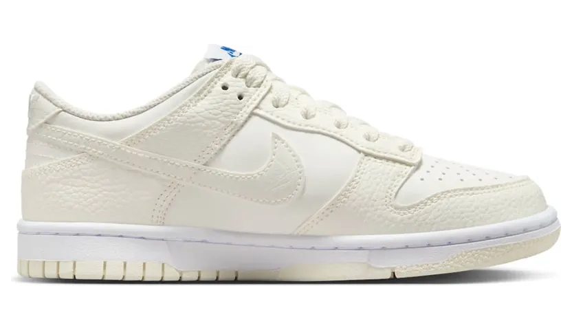 nike-dunk FV7472-100