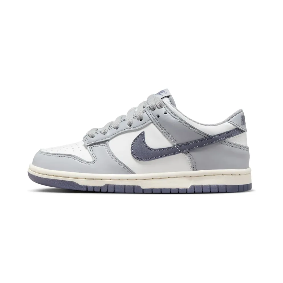 Nike Dunk Low SE Light Carbon Grey (GS) (FB9109-101)