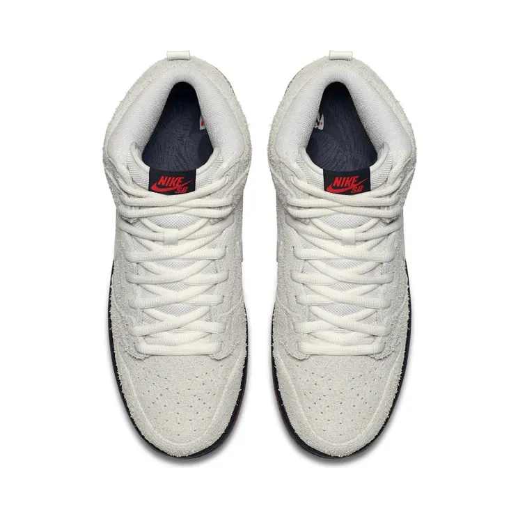 nike-dunk-sb 881758-110