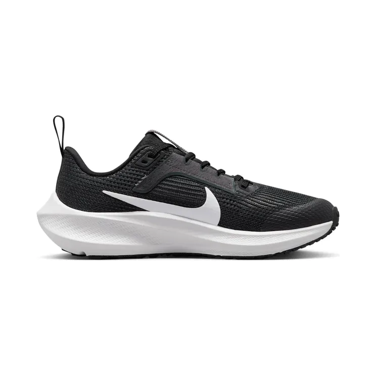 nike-air-pegasus DX2498-001