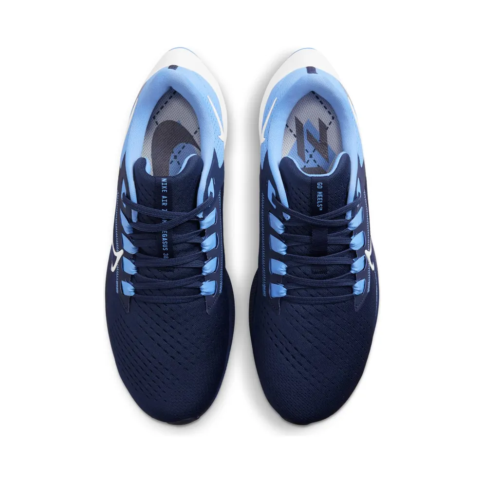 Nike Air Zoom Pegasus 38 UNC (DJ0860-400)