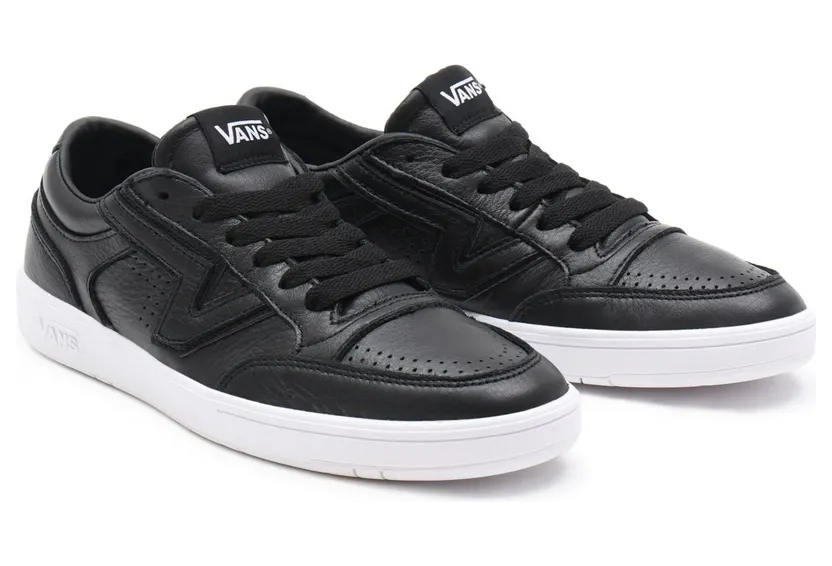 VANS Leren Lowland Cc Schoenen (Zwart)