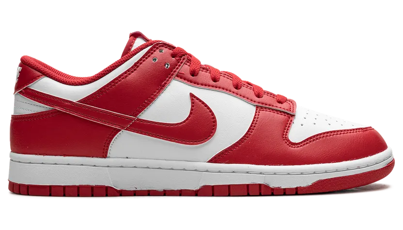 nike-dunk HF5441-104