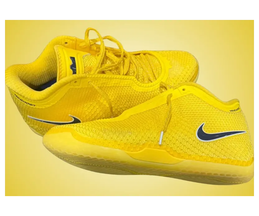 Nike LeBron 24 – Chosen 1s – “Tour Yellow / Midnight Navy / White / Metallic Gold” (IO8201-700)