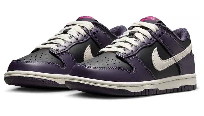 nike-dunk FB9109-003