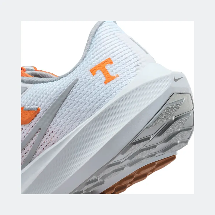 nike-air-pegasus DZ5980-100