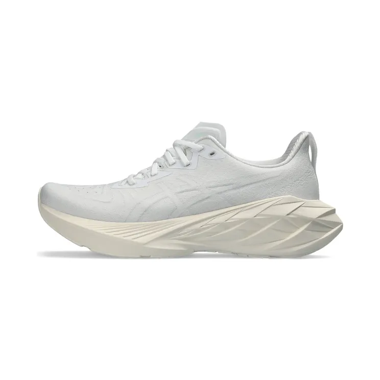asics-novablast 1011B693-102