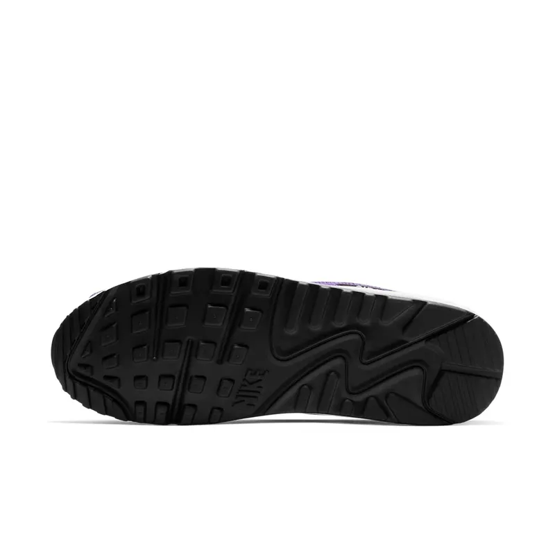 Nike Air Max 90 Grape (2019) (AJ1285-103)