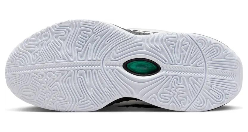 nike-lebron FZ7189-100