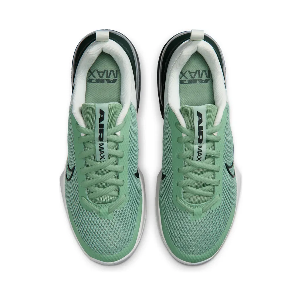 Nike Alpha Trainer Steam/Spruce Aura/Off White/Black Spruce (FQ1833-015)