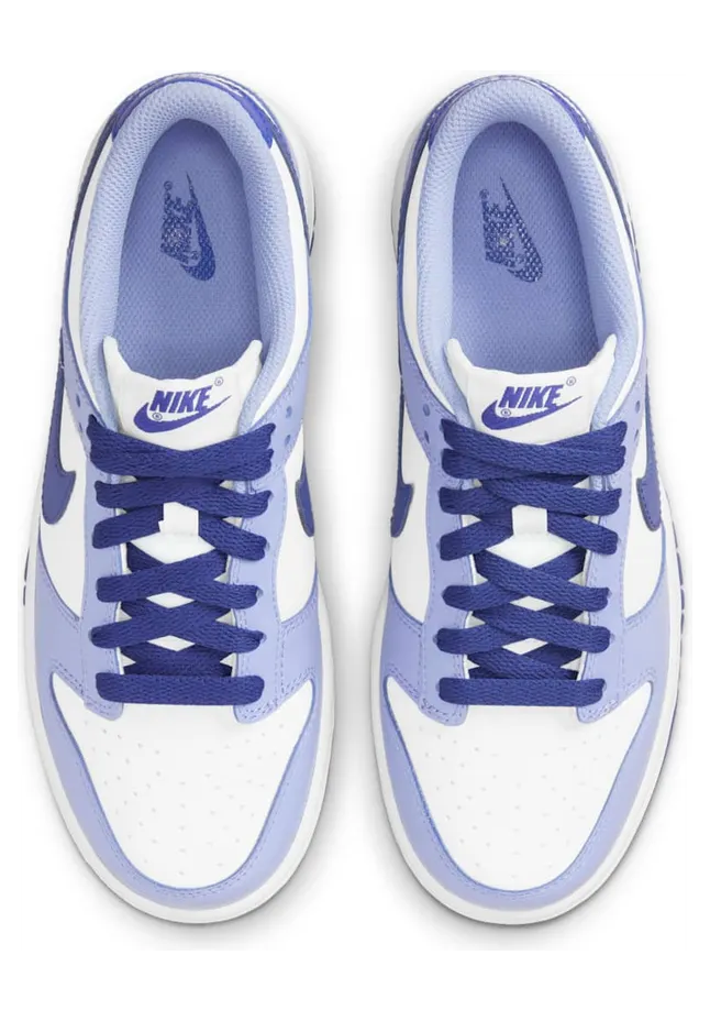 nike-dunk DZ4456-100