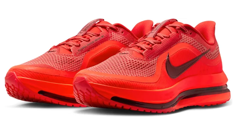 nike-air-pegasus HQ2592-601