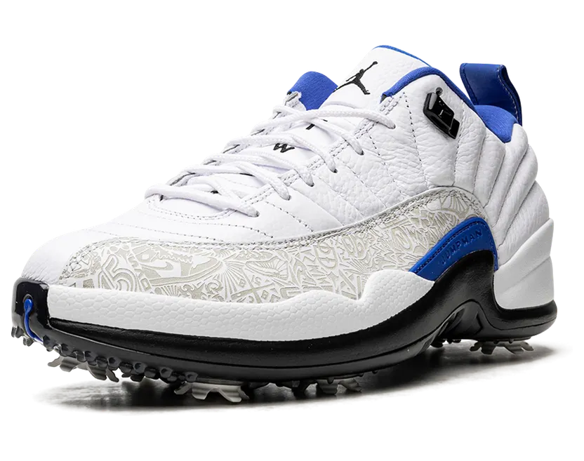 air-jordan-12 DM9015-105