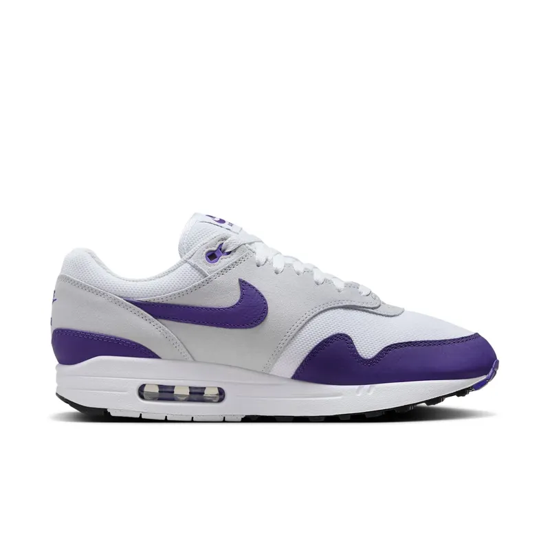 Nike Air Max 1 SC “Field Purple” (DZ4549-101)