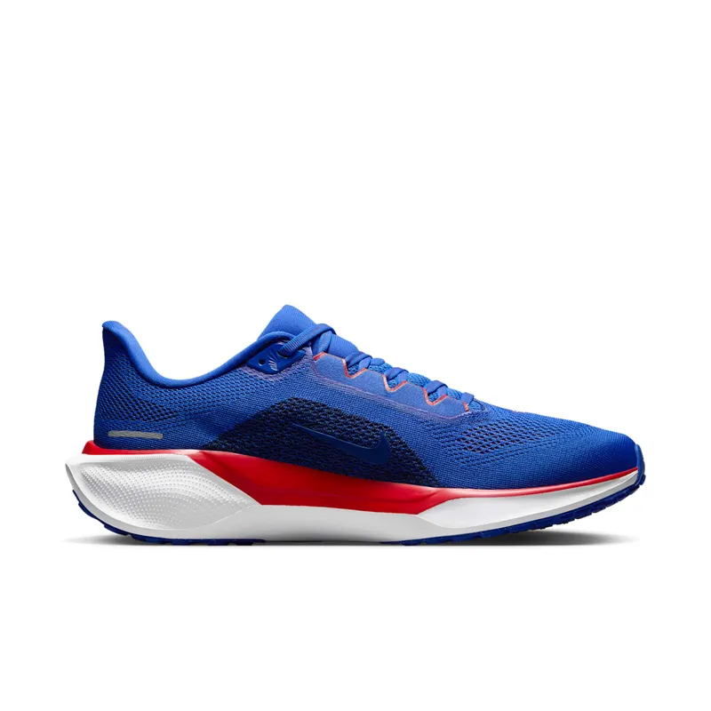 Nike Air Zoom Pegasus 41 Tennessee State (FZ5146-400)