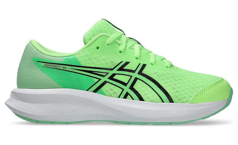 asics-patriot 1014A392-300