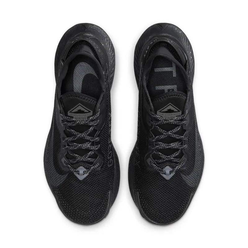 Nike Pegasus Trail 2 GORE-TEX Trail Running Black (CU2018-001)