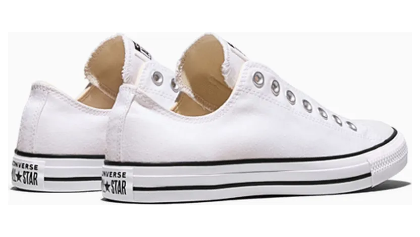 converse-chuck-taylor-all-star 164301C