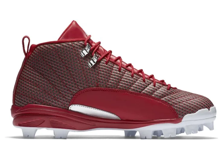 air-jordan-12 854566-600