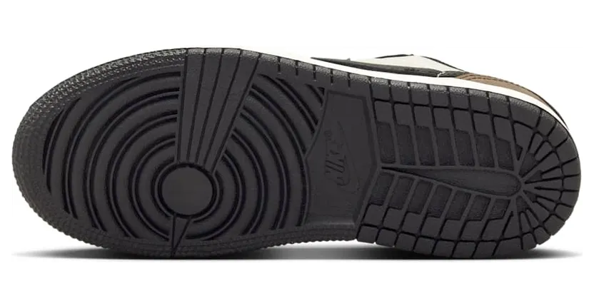 air-jordan-1 FQ5436-102