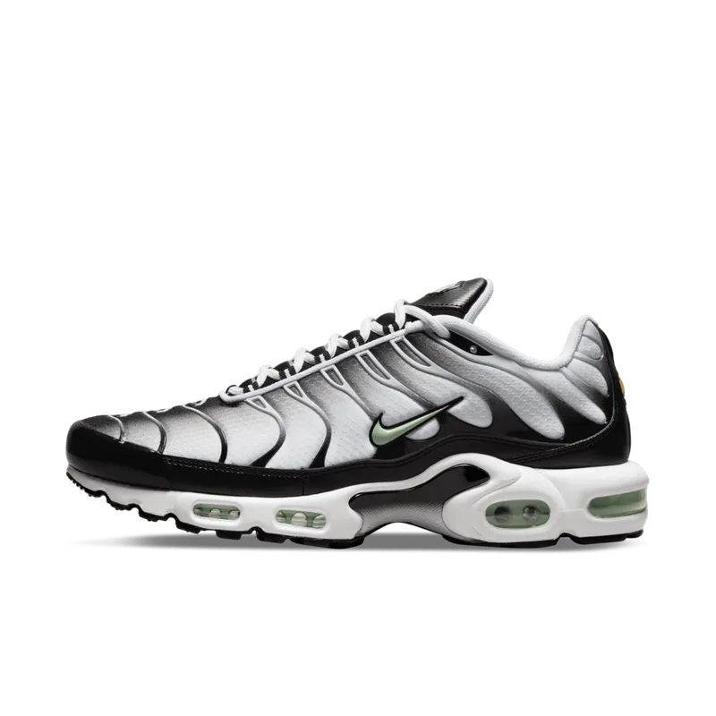 Nike TN Air Max Plus Seafoam Grey Black (DH4776-100)