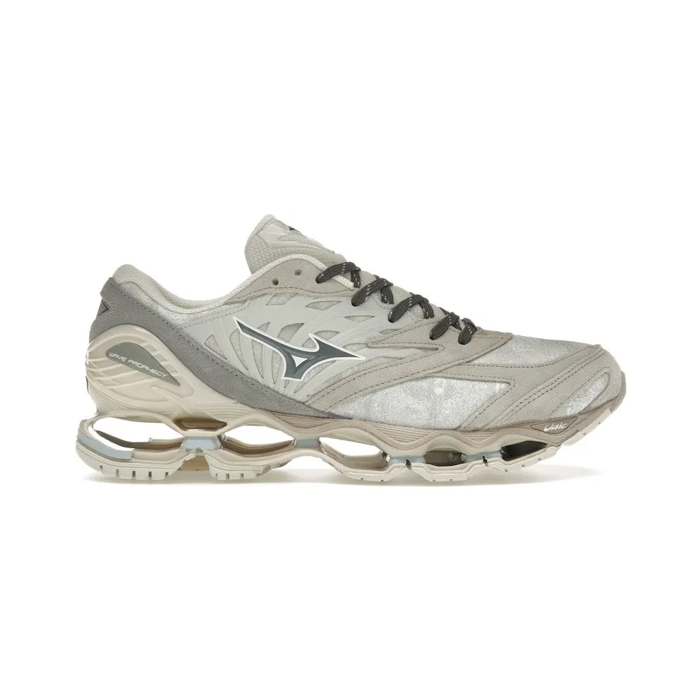 Mizuno Wave Prophecy LS Mimetics Pack Nimbus Cloud (D1GA245401)