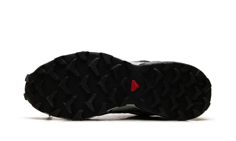 Salomon Speedcross 3 Gore Tex “White Metal” (L47867-500)
