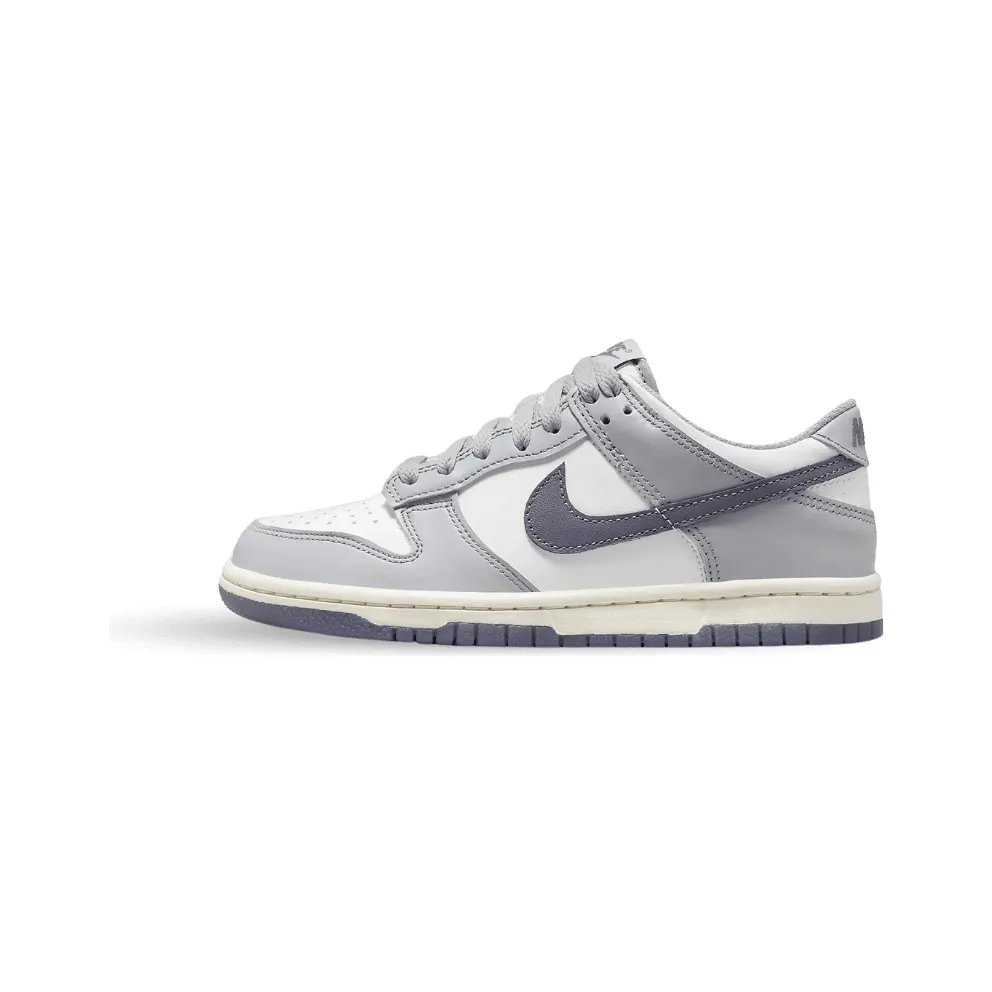 Nike Dunk Low SE Light Carbon Grey (GS) (FB9109-101)