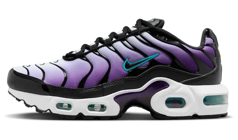 Nike Air Max Plus FQ2412-500