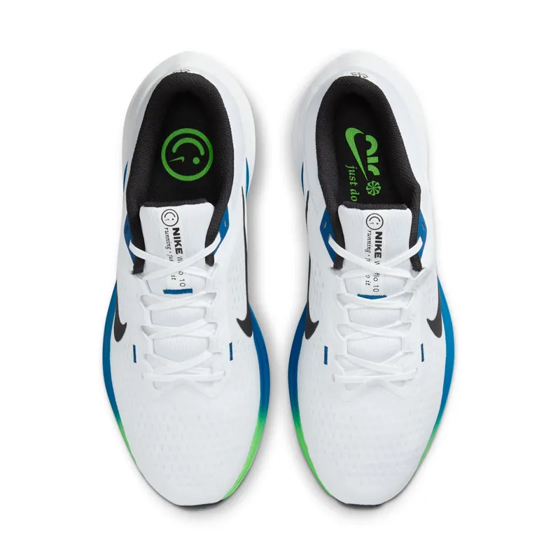 Nike Winflo 10 White (DV4022-103)