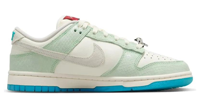 nike-dunk FZ5065-111