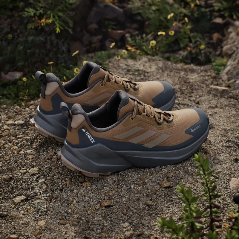 Adidas Terrex Trailmaker 2 GORE-TEX Hiking Bronze Strata / Blanch Cargo / Carbon (JQ9945)