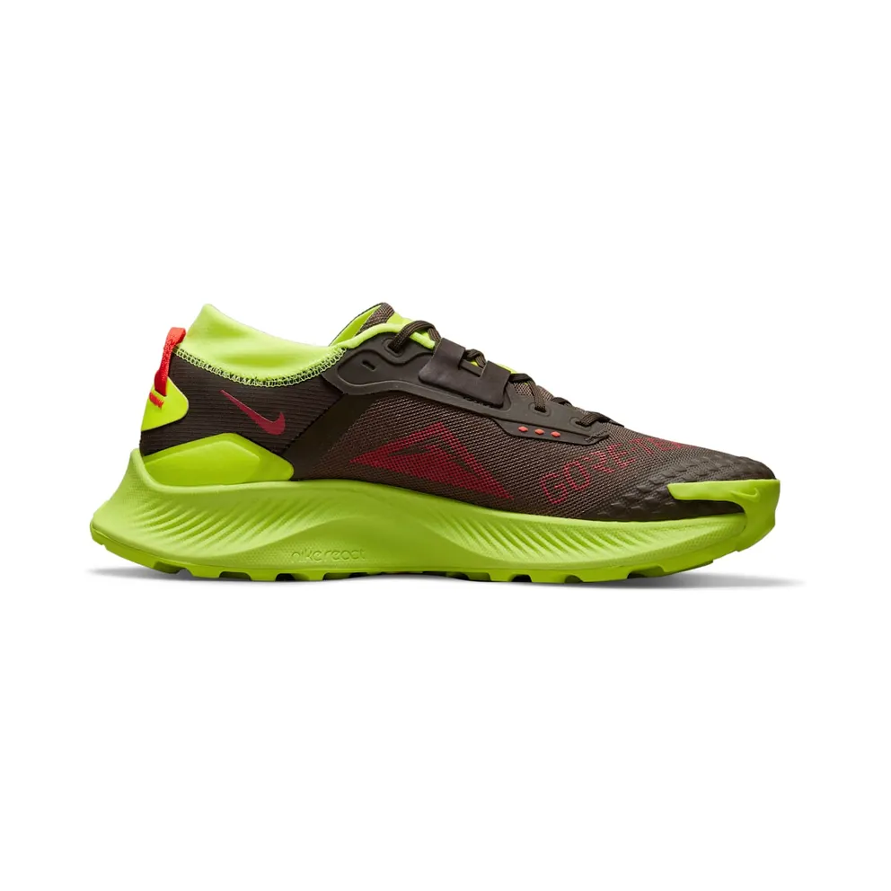 Nike Pegasus Trail 3 GORE-TEX Trail Running Brown (DO6728-200)