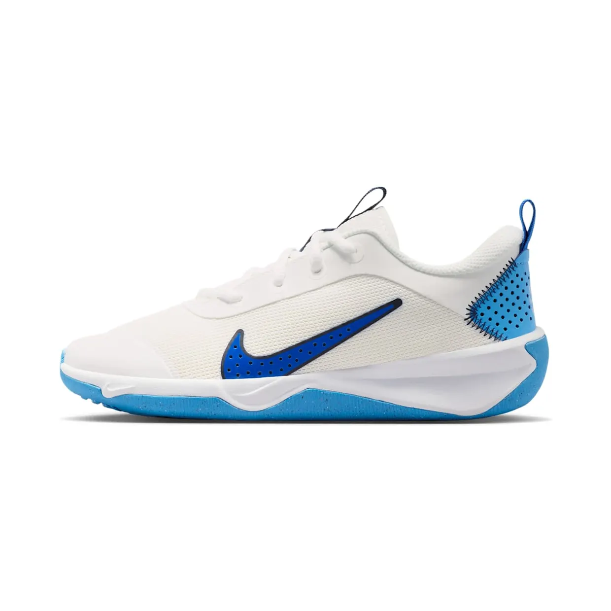 nike-omni-multi-court DM9027-108