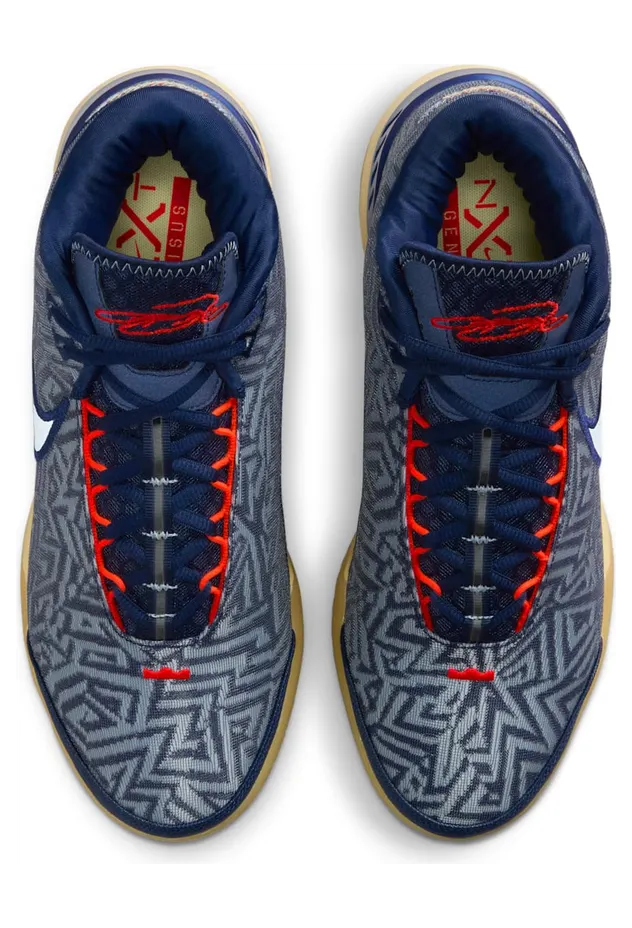 nike-lebron HF0712-401