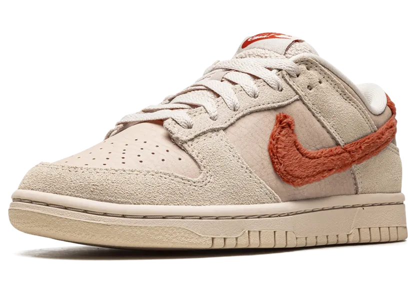 nike-dunk DZ4706-200
