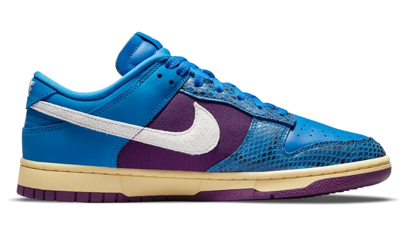 nike-dunk DH6508-400