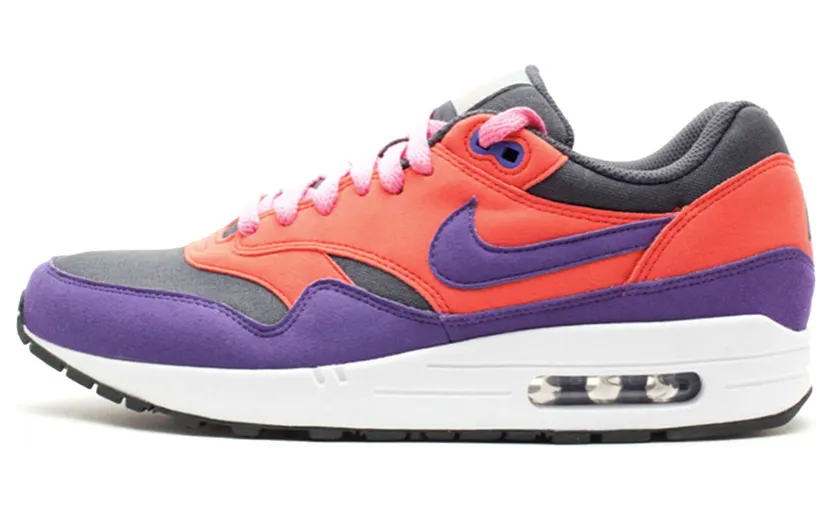 Nike Air Max 1 ACG Dark Shadow