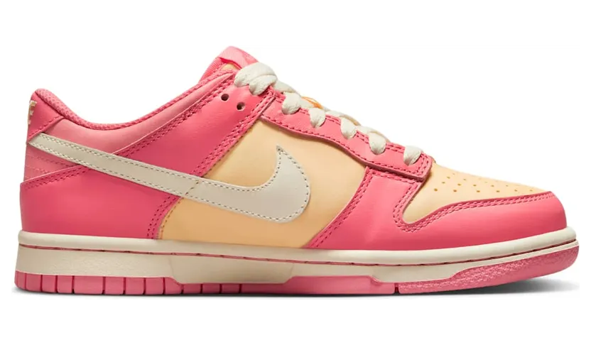 nike-dunk DH9765-200