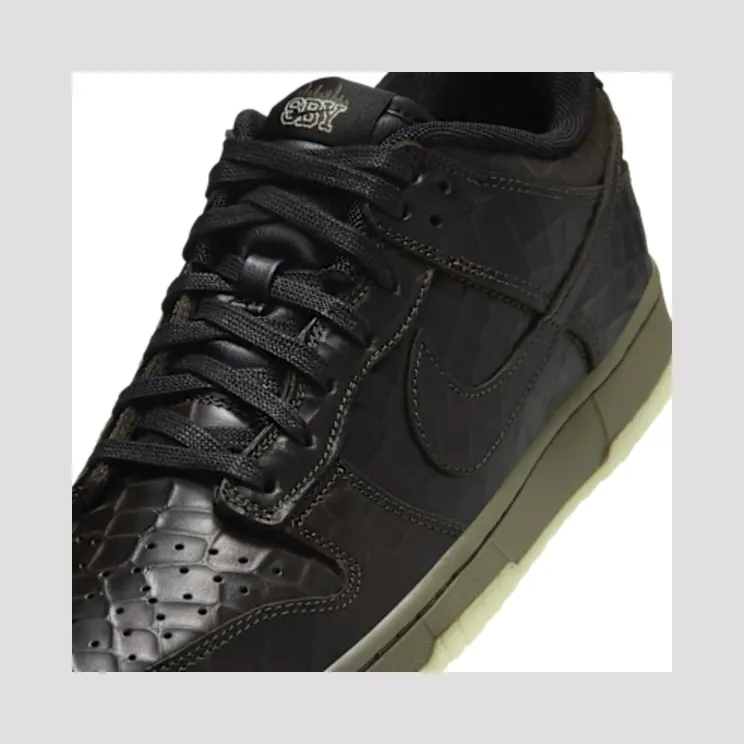 nike-dunk IX5169-300
