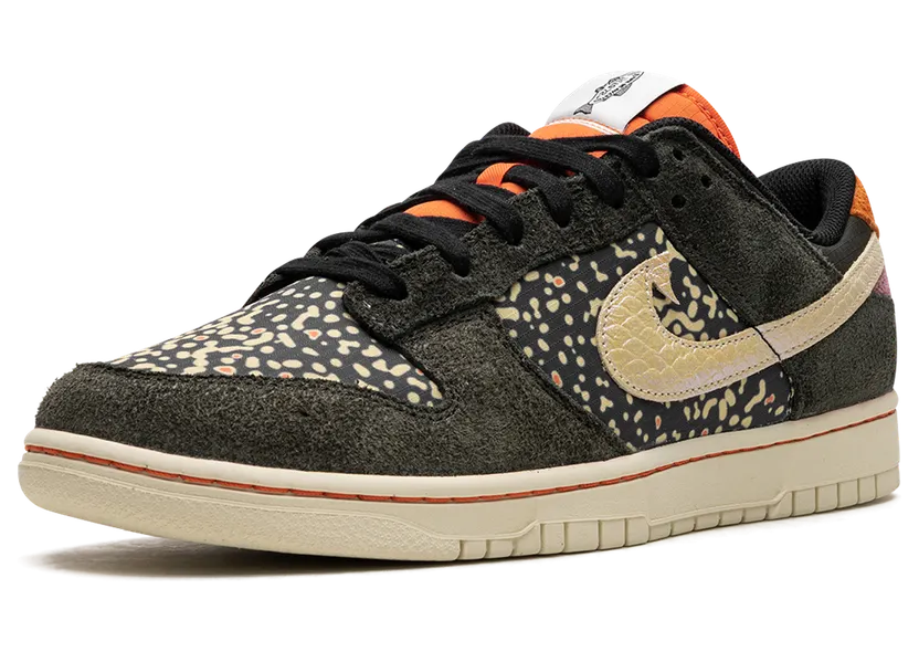 nike-dunk FN7523-300