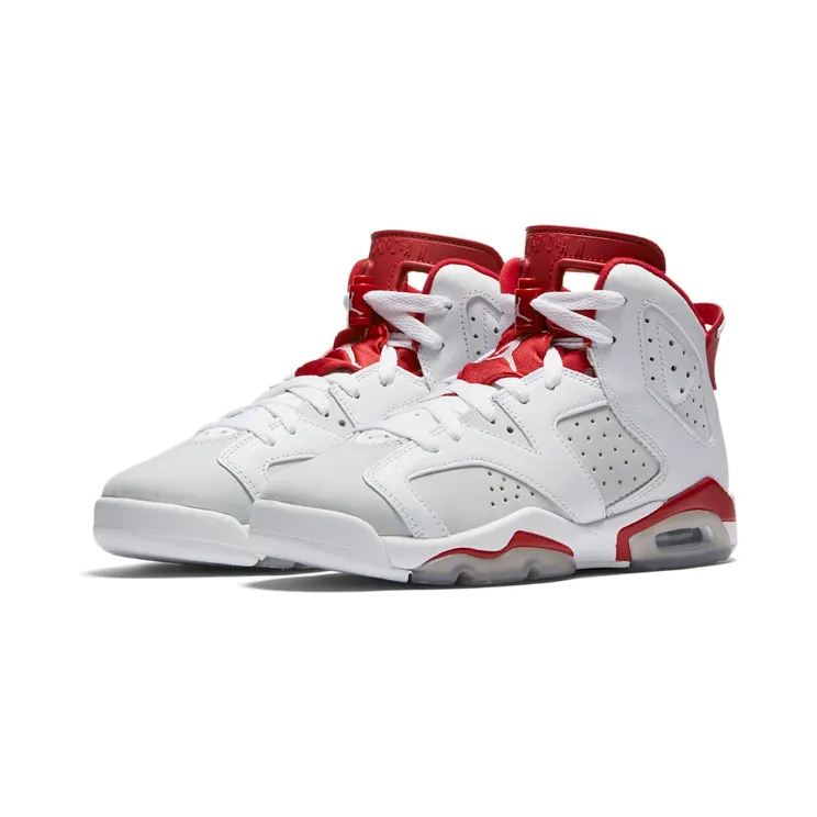 air-jordan-6 384665-113