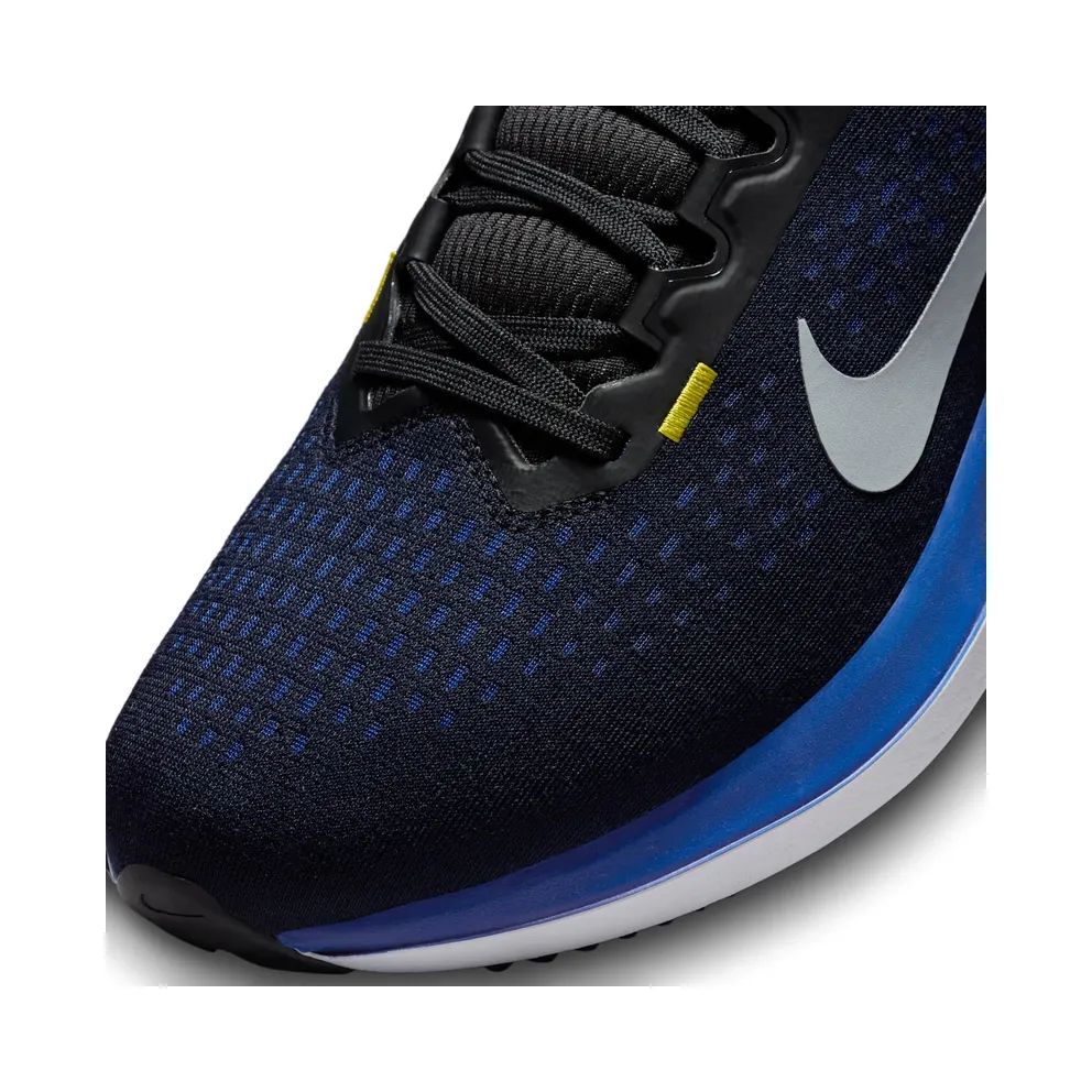 Nike Winflo 10 Black (DV4022-005)