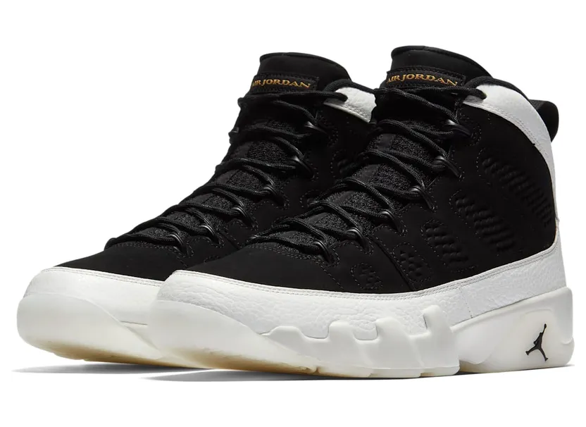 air-jordan-9 302370-021