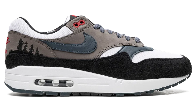 nike-air-max FJ0698-100