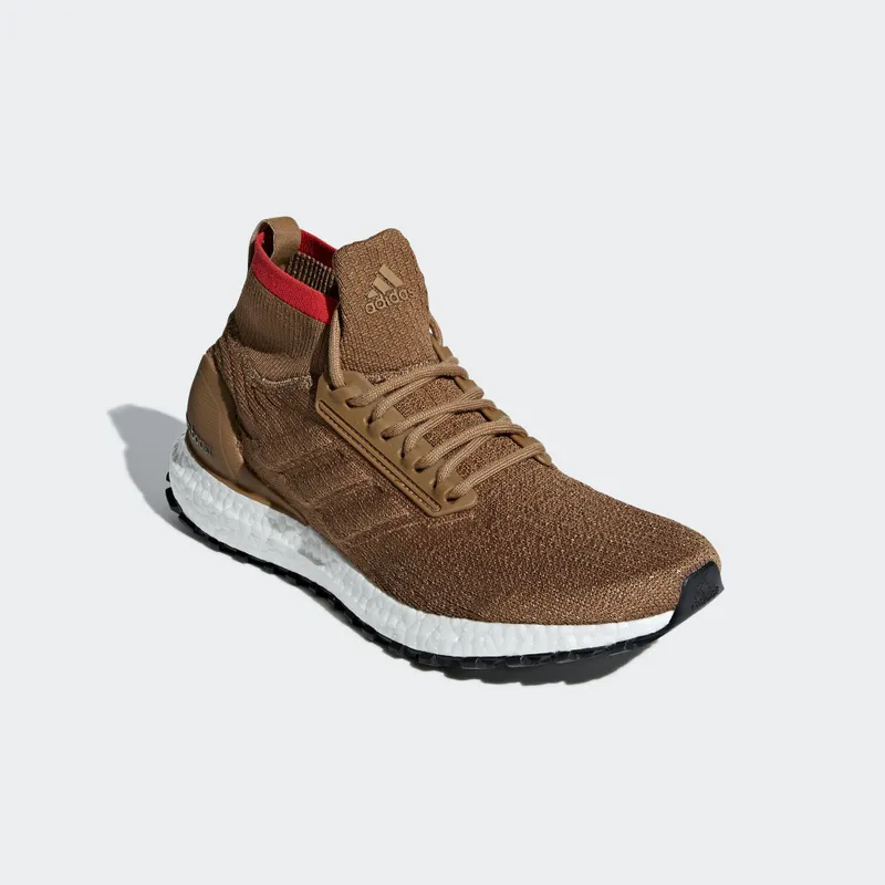 adidas Ultra Boost All Terrain Raw Desert Raw Desert/Core Black/Cloud White (CM8258)